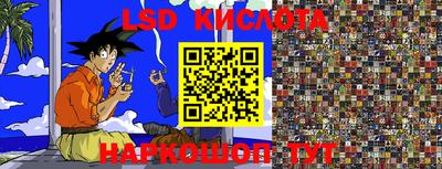 прущие крисы Моздок