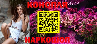 прущие крисы Моздок