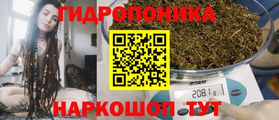 2c-b Можга
