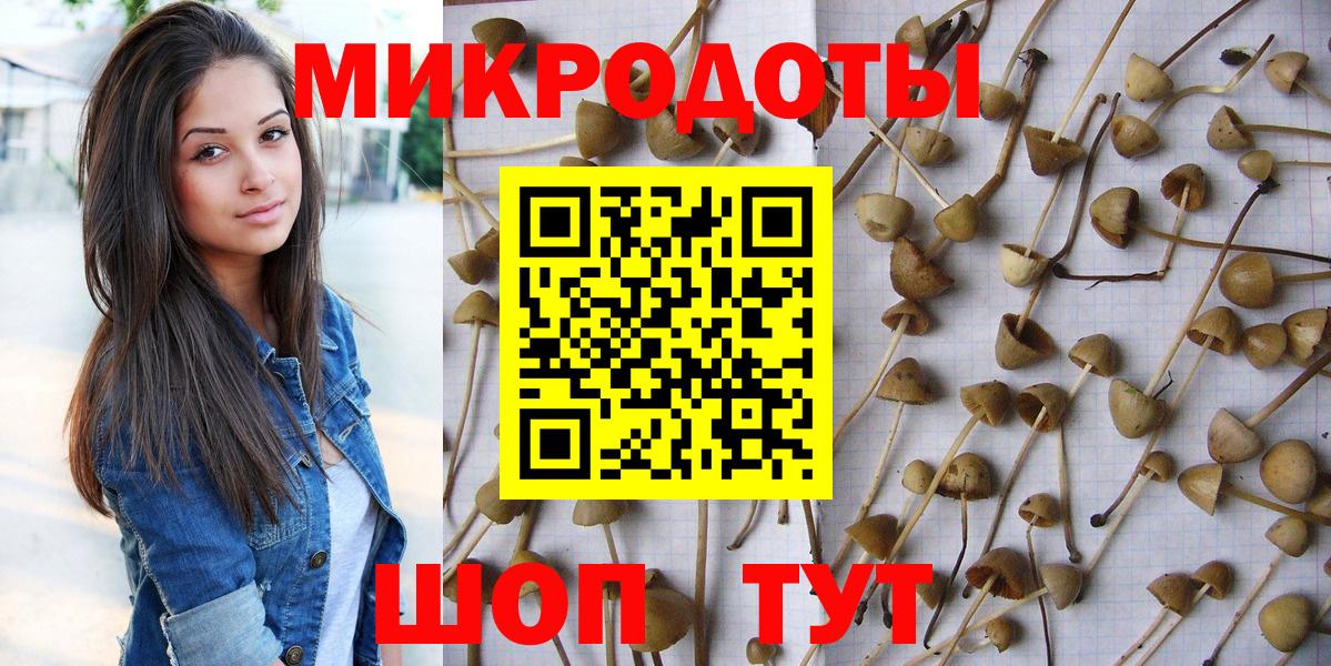 Галлюциногенные грибы прущие грибы  Галлюциногенные грибы Psilocybe  Тимашёвск  Вход с VPN 