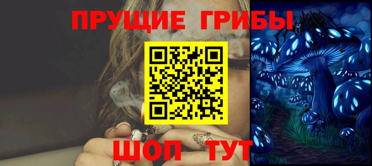 Псилоцибиновые грибы мицелий Тимашёвск